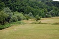 zeleno je zele&hellip;
