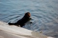 a da malo popi&hellip;