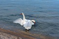 ne dirajte mi &hellip;
