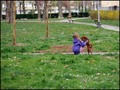 Simba voli dje&hellip;