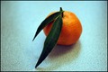 klementina s N&hellip;