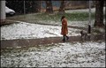 mali tvrdoglav&hellip;