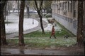 mali tvrdoglav&hellip;
