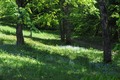 potočnice svud&hellip;