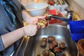 za krumpirušu.&hellip;