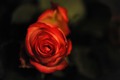 Sretno Valenti&hellip;