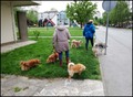 usvojeni ljubi&hellip;