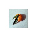 klementina s N&hellip;