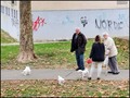 i tako svaki d&hellip;