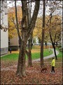 usklađene boje&hellip;