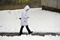 crvenkapica pr&hellip;