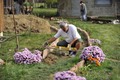 drži jezik rav&hellip;