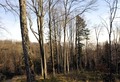 sunce na Sljem&hellip;
