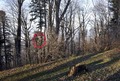 svemirac na Sl&hellip;