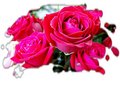 Sretno Valenti&hellip;