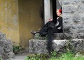 modeli u dvorc&hellip;