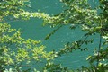 Je li Una boje&hellip;