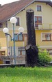 ovako bosanci &hellip;