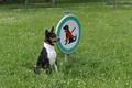 ovo se mene ne&hellip;