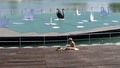 ručak na labuđ&hellip;