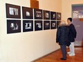 Dalibor Talaji&hellip;