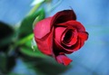Sretno Valenti&hellip;