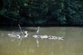 čuvar maksimir&hellip;