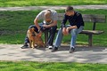 krpelj na vidi&hellip;