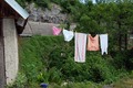 detalj iz Rast&hellip;