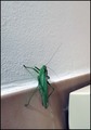 moj nepozvani &hellip;