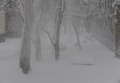 danas u podne.&hellip;