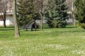 odmor u društv&hellip;