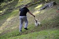 evo, sad ću ti&hellip;