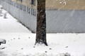isti motiv, a &hellip;