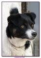 Lunin  portret&hellip;