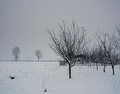 Dva Daltona i &hellip;