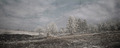 winter fairyta&hellip;