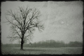 lonely in the &hellip;