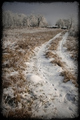 ...steps to ho&hellip;