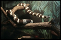 ssssssssssssss&hellip;