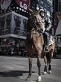 Horseback ridi&hellip;