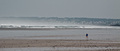 La maree basse