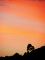 loneliness2