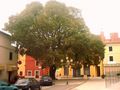 stara gradska &hellip;