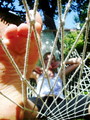 uhvacena u mre&hellip;