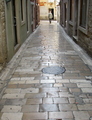 Dalmatinska ka&hellip;