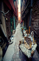 Venice backsta&hellip;