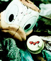 trash photogra&hellip;
