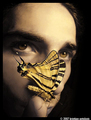 Butterfly effe&hellip;