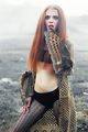 Call of the wi&hellip;